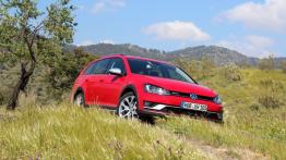 Volkswagen Golf VII Alltrack - galeria redakcyjna - widok z przodu