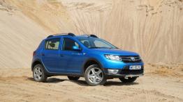 Dacia Sandero II Stepway 1.5 dCi 90KM - galeria redakcyjna - widok z przodu