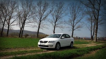 Skoda Octavia III Liftback 1.4 TSI 140KM - galeria redakcyjna