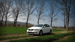 Skoda Octavia III Liftback 1.4 TSI 140KM - galeria redakcyjna - widok z przodu