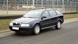 Skoda Octavia Tour 1.9 TDI  02.10.2006 - galeria redakcyjna - widok z przodu