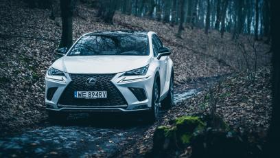 Lexus NX 300 - galeria redakcyjna (4)