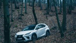 Lexus NX 300 - galeria redakcyjna (4)