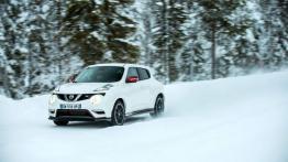Nissan Juke Nismo RS (2014) - wersja europejska - widok z przodu