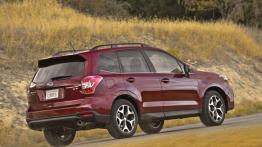 Subaru Forester IV - wersja amerykańska - widok z tyłu