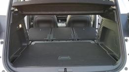 Citroen C5 Aircross 1.6 PureTech 181 KM - galeria redakcyjna - baga?nik