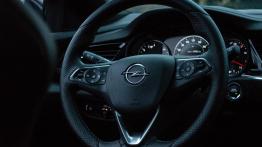 Opel Insignia Grand Tourer GSi 2.0 BiTurbo CDTI 210 KM - galeria redakcyjna - kierownica
