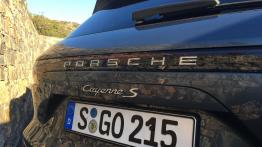 Porsche Cayenne - galeria redakcyjna 