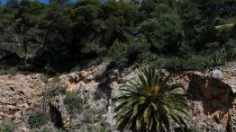 Kia Picanto II Hatchback 5d - galeria redakcyjna - prawy bok