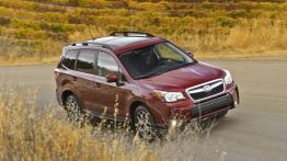 Subaru Forester IV - wersja amerykańska - widok z góry