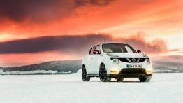 Nissan Juke Nismo RS (2014) - wersja europejska - widok z przodu