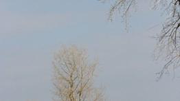 Audi A6 C7 3.0 TFSI quattro - galeria redakcyjna - widok z przodu