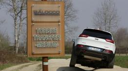 Jeep Cherokee KL (2014) Trailhawk - wersja europejska - widok z tyłu