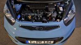 Kia Picanto 2011 - wersja 5-drzwiowa - maska otwarta