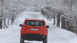 Jeep Renegade Trailhawk (2015) - wersja europejska - widok z tyłu