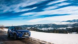 Lexus NX 200t F-Sport - galeria redakcyjna - widok z przodu