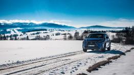 Lexus NX 200t F-Sport - galeria redakcyjna - widok z przodu