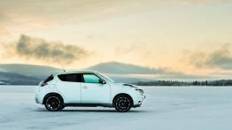 Nissan Juke Nismo RS (2014) - wersja europejska - prawy bok