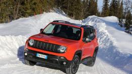 Jeep Renegade Trailhawk (2015) - wersja europejska - widok z przodu