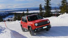 Jeep Renegade Trailhawk (2015) - wersja europejska - widok z przodu