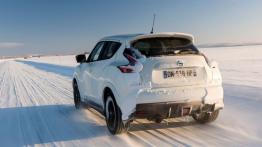 Nissan Juke Nismo RS (2014) - wersja europejska - widok z tyłu