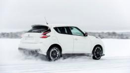 Nissan Juke Nismo RS (2014) - wersja europejska - widok z tyłu