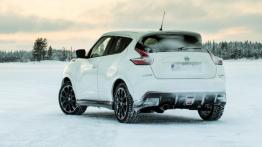 Nissan Juke Nismo RS (2014) - wersja europejska - widok z tyłu