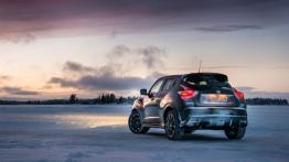 Nissan Juke Nismo RS (2014) - wersja europejska - widok z tyłu