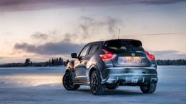 Nissan Juke Nismo RS (2014) - wersja europejska - widok z tyłu