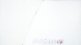 Nissan Juke Nismo RS (2014) - wersja europejska - tył - inne ujęcie