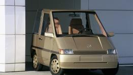 Mercedes Nafa - widok z przodu