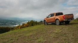 Nissan Navara (2016) - galeria redakcyjna - widok z tyłu