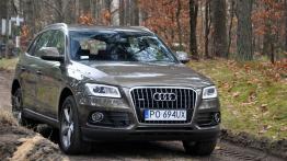 Audi Q5 SUV Facelifting 2.0 TDI 177KM - galeria redakcyjna - widok z przodu