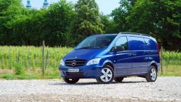 Mercedes Vito na długim dystansie - galeria redakcyjna - widok z przodu