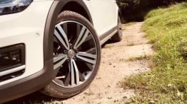 Volkswagen Golf Alltrack 2.0 TDI 184 KM - galeria redakcyjna
