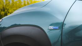 Hyundai Kona Electric - galeria redakcyjna