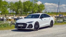 Porównanie: Audi A6 Limousine TDI quattro vs Mercedes Klasa E 220 d 4MATIC. Niemiecka klasyka