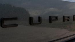 Na ten samochód sportowy pozwoli Ci żona! Cupra Ateca