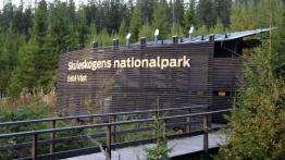 Skoda Citigo - małe auto, długa trasa