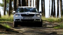 Dekada troski o kierowców - Skoda