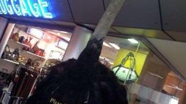 Skoda Yeti w Namibii - dzień 1 - pierwsze wrażenia