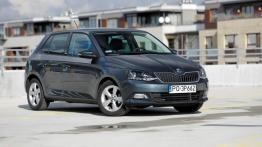 Ponad 600 tysięcy kilometrów? W Fabii to dopiero rozgrzewka!