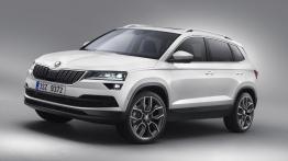 Skoda Karoq zadebiutowała!