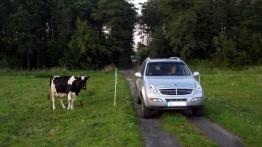 Ssangyong Rexton 270 Xdi - widok z przodu