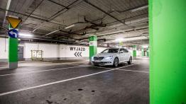 Skoda Superb Laurin & Klement 2.0 TDI 150 KM - galeria redakcyjna - widok z przodu