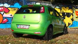 Fiat Punto Punto 2012 Hatchback 5d 0.9 TwinAir 8v 85KM - galeria redakcyjna - widok z tyłu