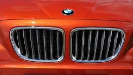 BMW X1 Facelifting - galeria redakcyjna - grill