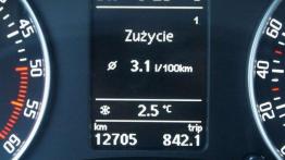 Sztuka oszczędzania. Jak zmniejszyć zużycie paliwa?