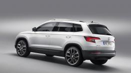 Skoda Karoq zadebiutowała!