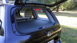 Hyundai Santa Fe 2.0 CRDi High - widok z tyłu
